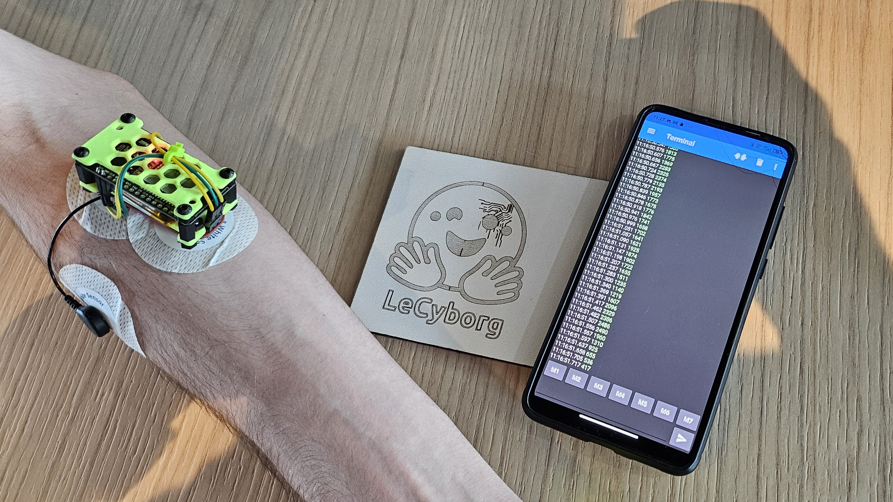 Embedded Electronics